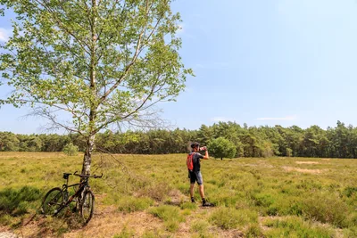 Holterberg in Holten, foto 5