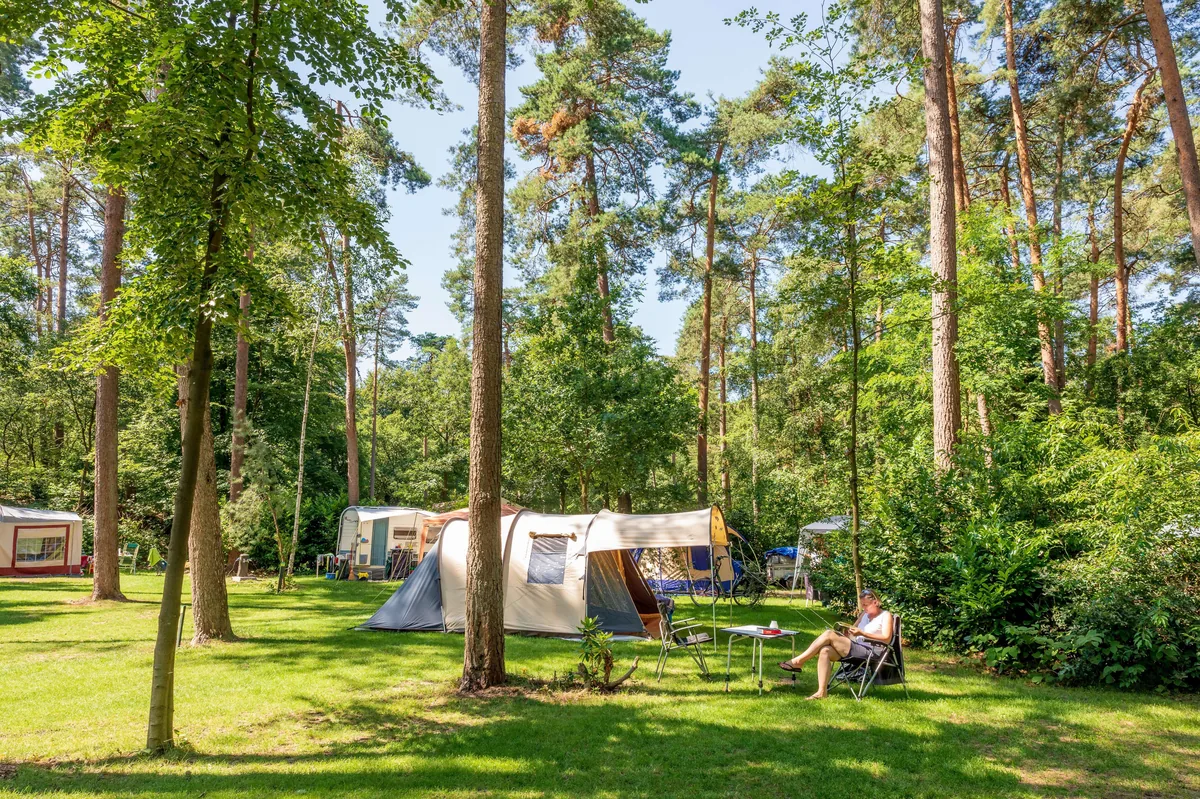 Vakantiepark De Jutberg in Veluwe