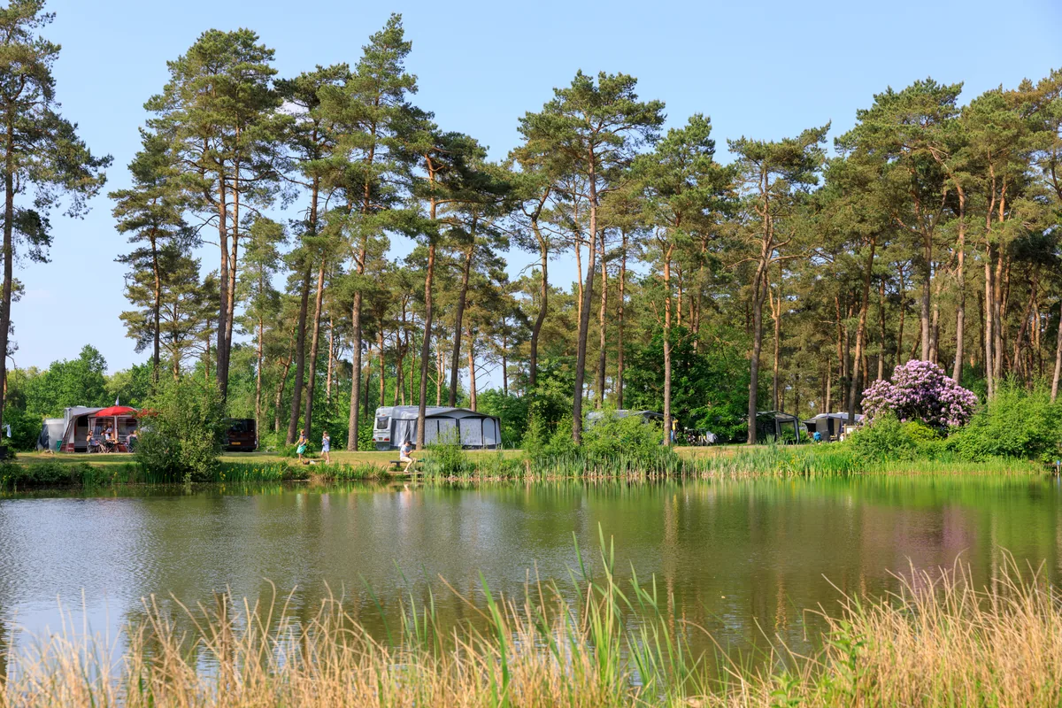 Vakantiepark Diana Heide in Drenthe