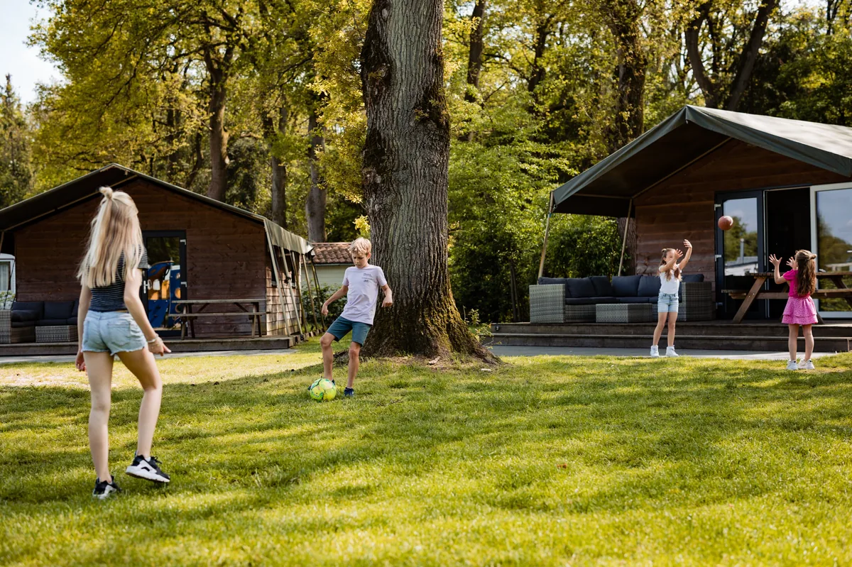 Vakantiepark Noetselerberg in Overijssel