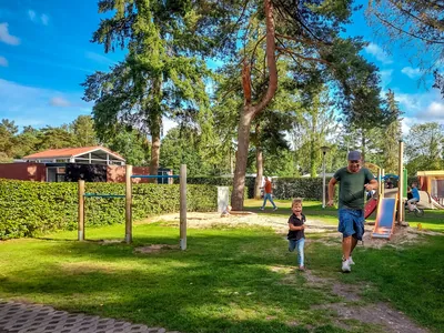 Zandhegge in Emst, foto 3