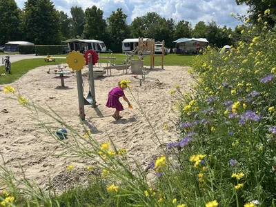 't Rheezerwold in Hardenberg, foto 4