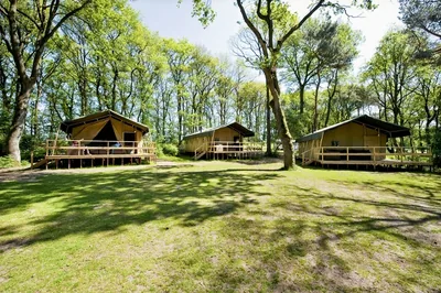 Vakantiepark Beerze Bulten in Beerze, foto 6