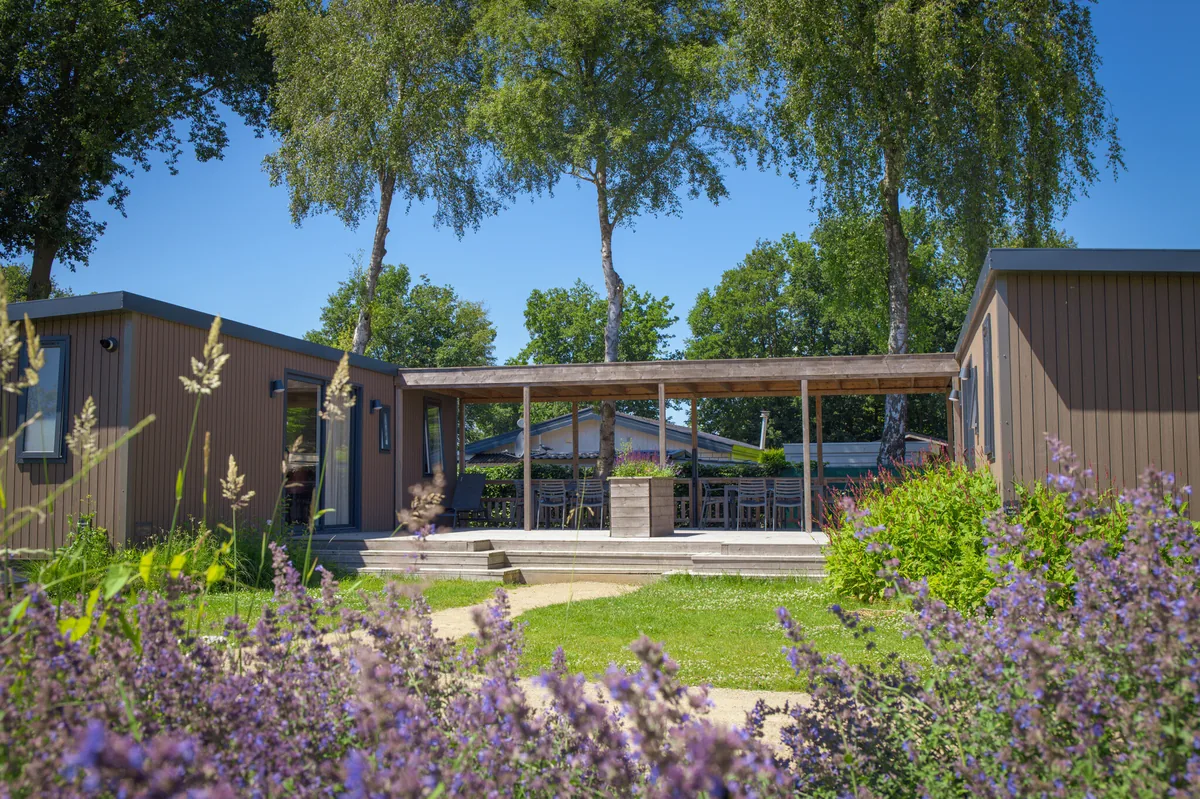 Gezinslodge (6 + 6 personen)