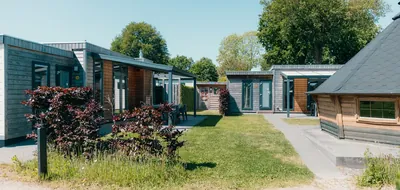 Veluwe Villa met sauna en grillhuis (6 + 6 personen)