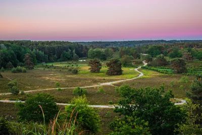 EuroParcs Brunssummerheide in Brunssum, foto 6