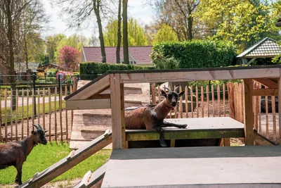 EuroParcs De Achterhoek, foto 6