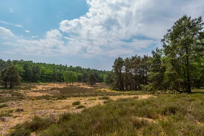 EuroParcs De Hooge Veluwe, foto 2