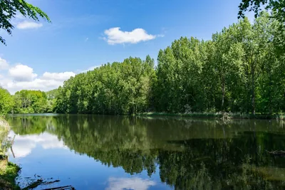 EuroParcs Het Amsterdamse Bos, foto 2