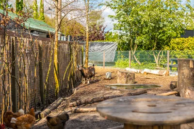 EuroParcs Spaarnwoude in Halfweg, foto 5