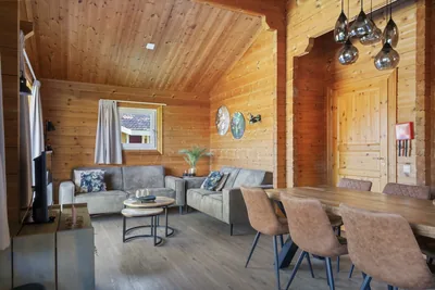 Vakantiepark 't Hooge Holt in Gramsbergen, foto 4