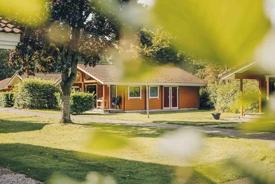 Vakantiepark 't Hooge Holt in Gramsbergen, foto 6