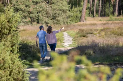 Bos en Duin