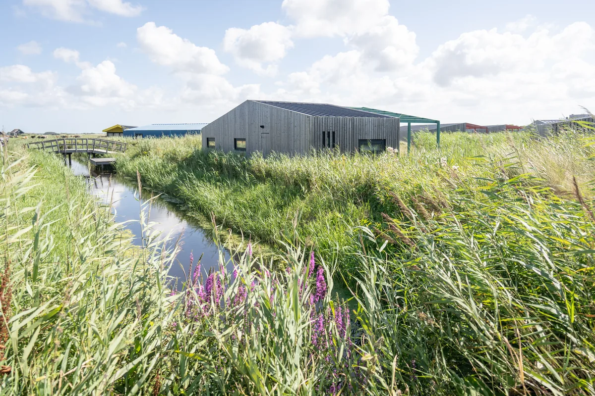 Veluwe lounge (4 + 4 personen)