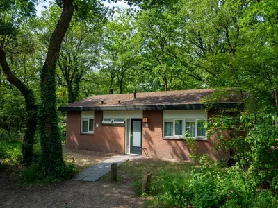 Heihaas