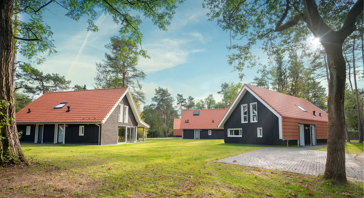 Heideheuvel in Veluwe