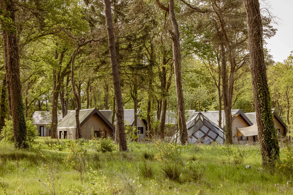 Roodewoud in Drenthe
