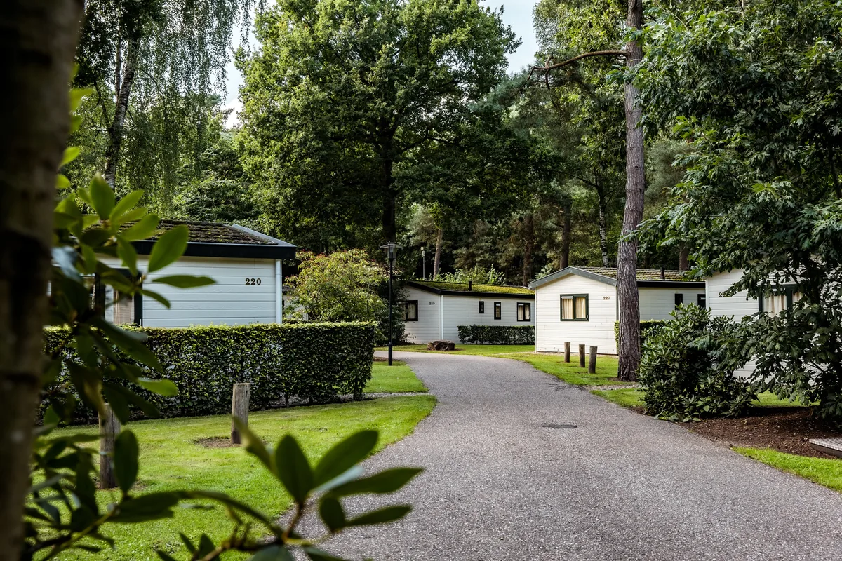Bospark De Schaapskooi in Veluwe