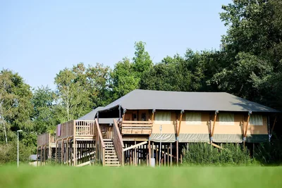 Vakantiepark de Sallandshoeve in Nieuw Heeten, foto 4