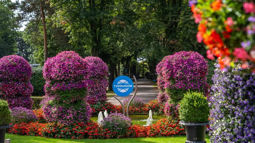 Landgoed de Scheleberg in Veluwe