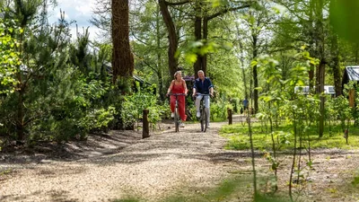 Résidence Lage Vuursche, foto 5