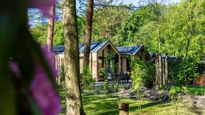 Résidence Lage Vuursche, foto 6