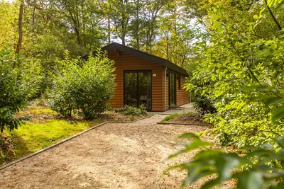Vakantiepark De Wiltzangh in Ruinen, foto 4