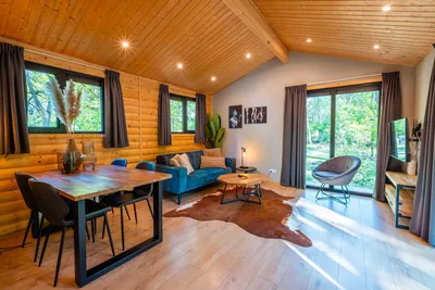 Vakantiepark De Wiltzangh in Ruinen, foto 6